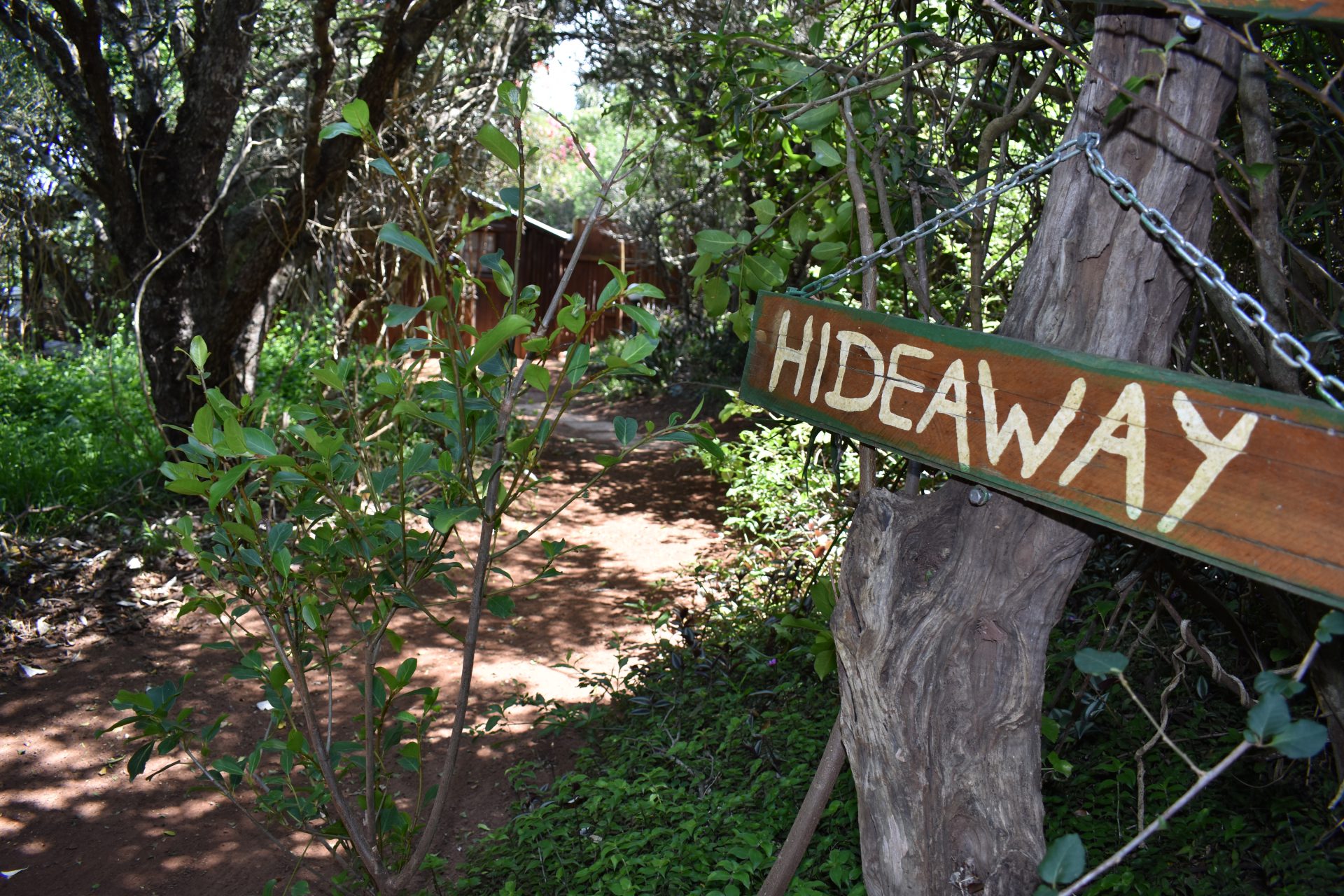 Hide-Away Cottage