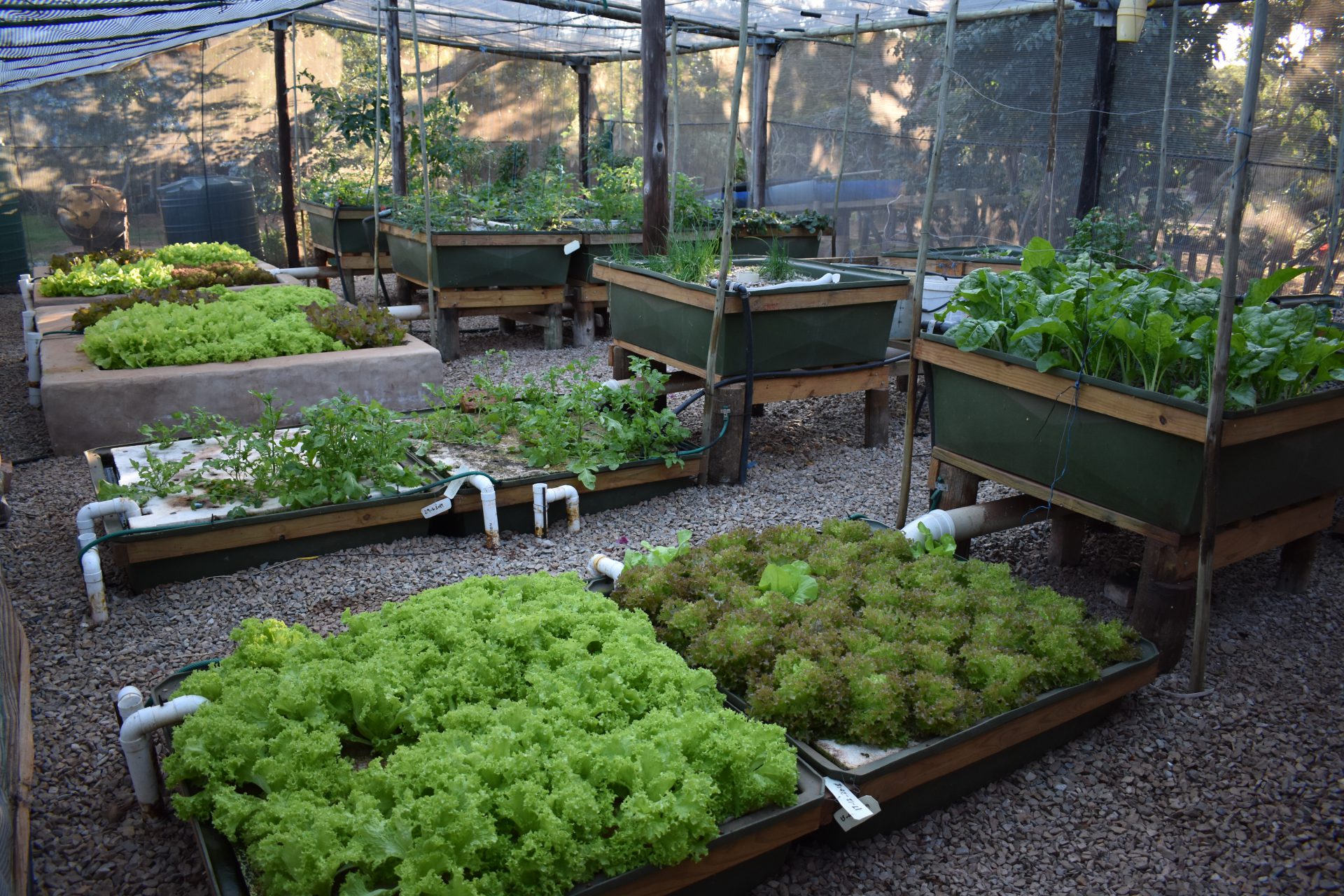 Organic Farming